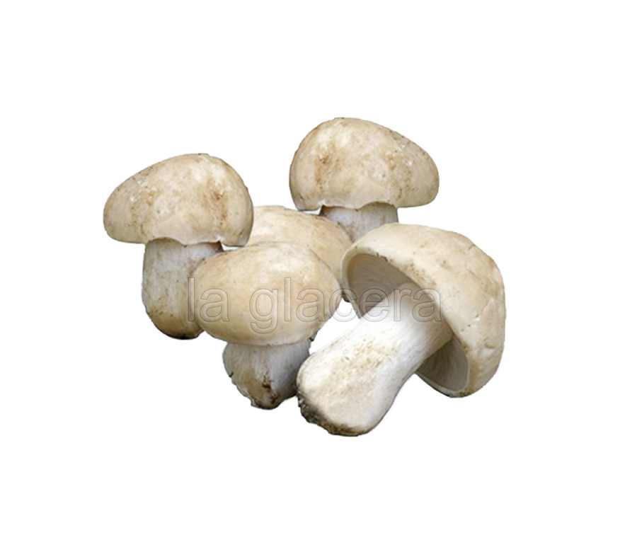 Moixernons 001