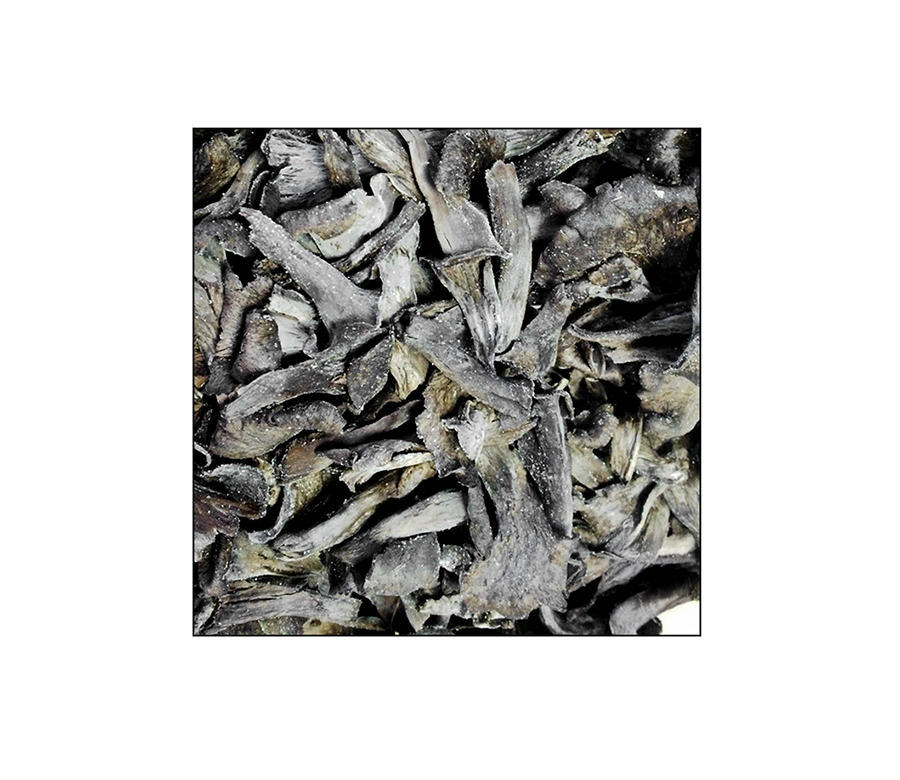 trompeta-negra_congelada_Estany_BagesCargol